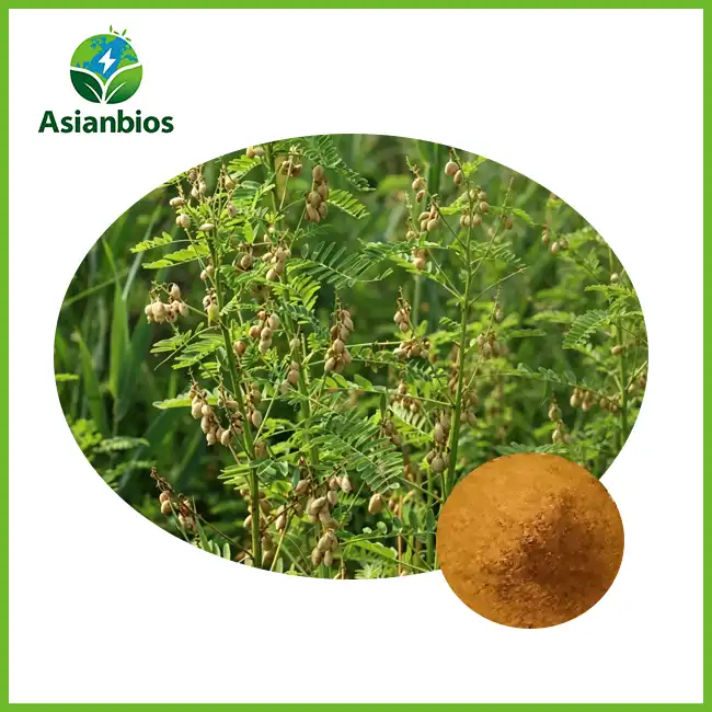 Flatstem Milkvetch Extract